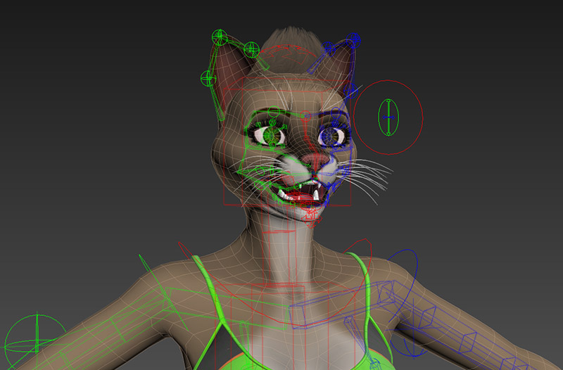 Face Rig