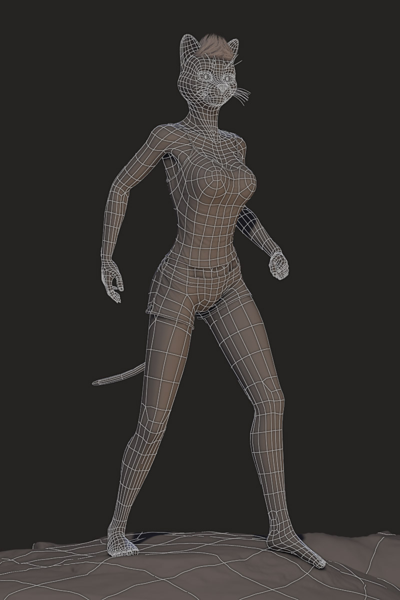 Wireframe