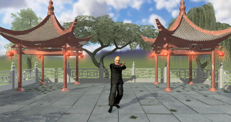tai chi 2